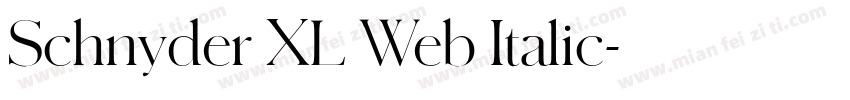 Schnyder XL Web Italic字体转换